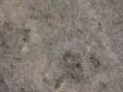 Ʒ-RSG STONE